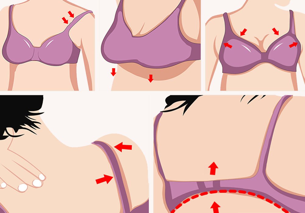 Anatomy Of A Bra