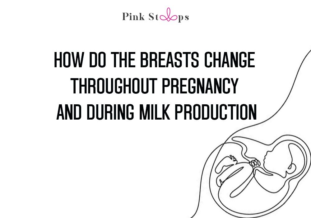 Changing In Breast During Pregnancy