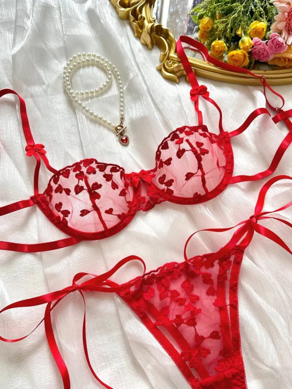 Sexy Bikini For Fine Women Heart-Shaped Embroidery - Image 3