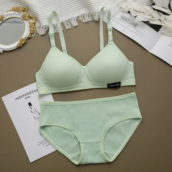 Women Seamless Bikini Sexy Stretch Crop Top Lingerie Set - Image 4