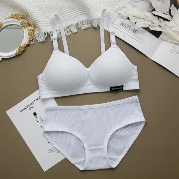 Women Seamless Bikini Sexy Stretch Crop Top Lingerie Set - Image 2
