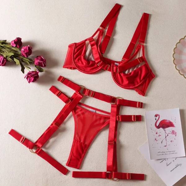 Sexy Bikini Transparent Women Underwear Sets Push Up Bra - Image 2