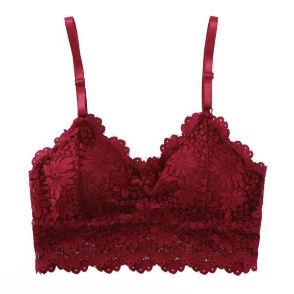 Lace Bra Beauty Strap Bra No Steel Ring Bra - Image 4
