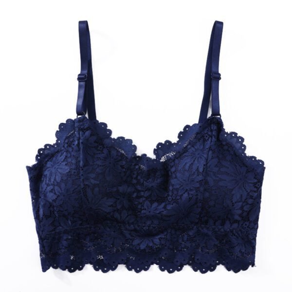 Lace Bra Beauty Strap Bra No Steel Ring Bra