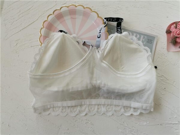 Lace Bra No Steel Ring Bra - Image 2
