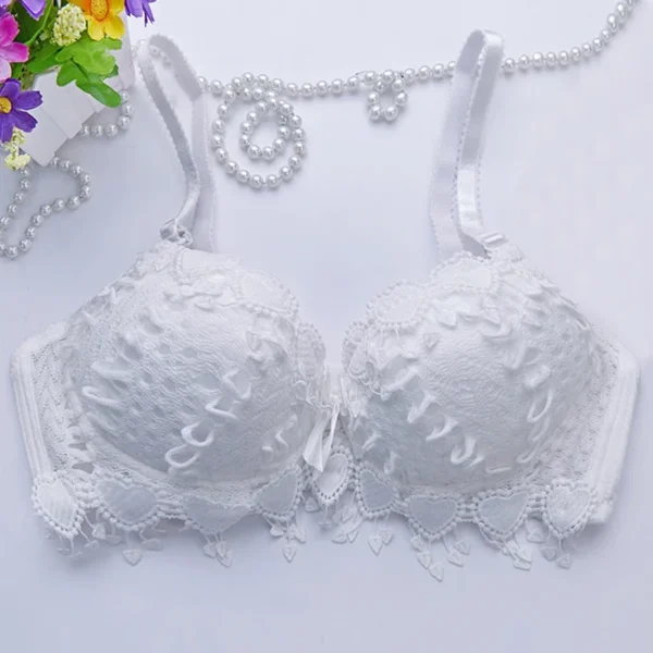 Women'S  Lace Bra Sexy Push Up Bra - Image 13