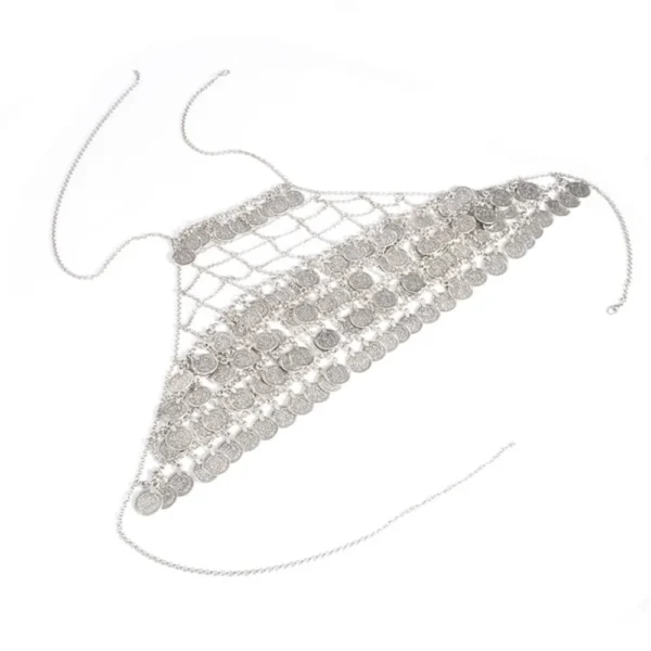 Metal Mesh Gypsy Body Sexy Bra Tassel Bra - Image 3