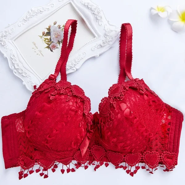 Women'S  Lace Bra Sexy Push Up Bra - Image 6