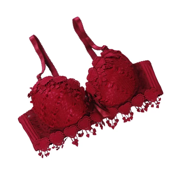 Women'S  Lace Bra Sexy Push Up Bra - Image 2