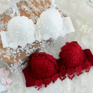 Women's  Lace Bra Sexy Push Up Bra