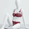 French Lace Embroidery Sexy Lingerie Set